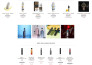 create a shopify website design and build a high converting shopify store
